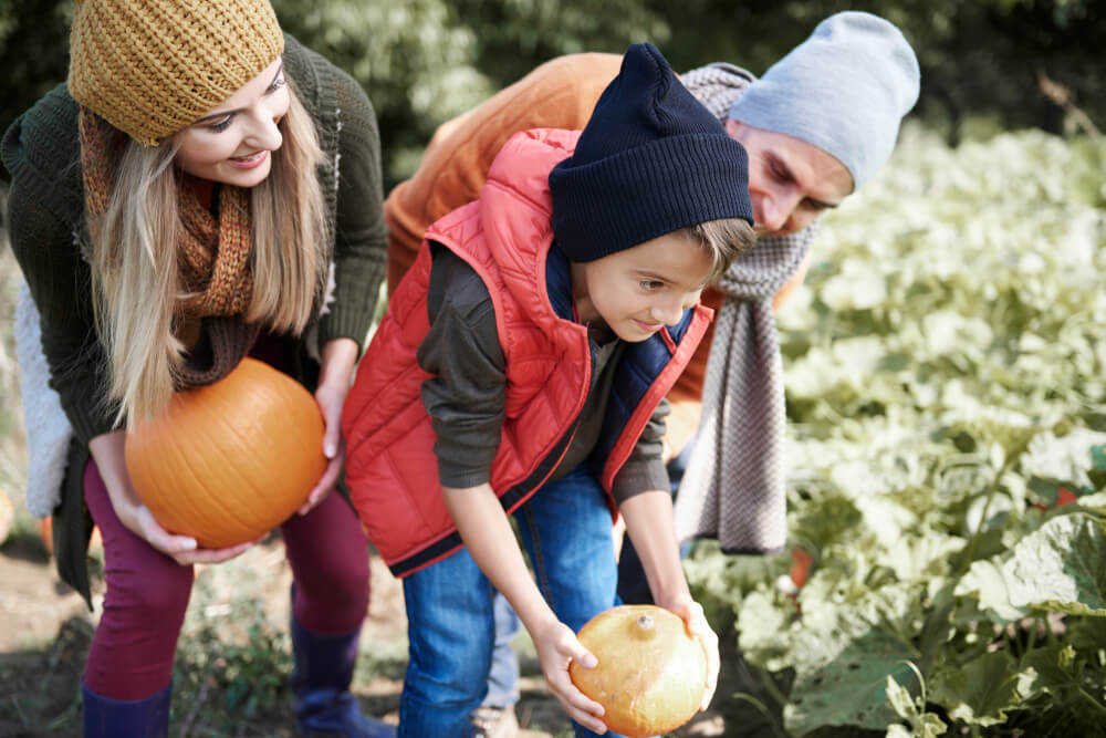 Activities for Kids and Parents