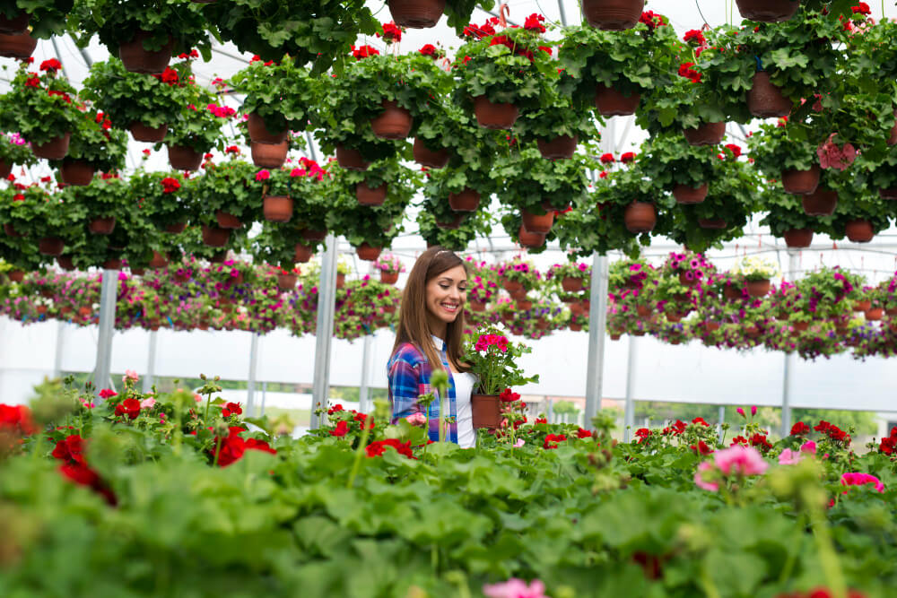 The Best Strawberry Varieties for Home Gardens